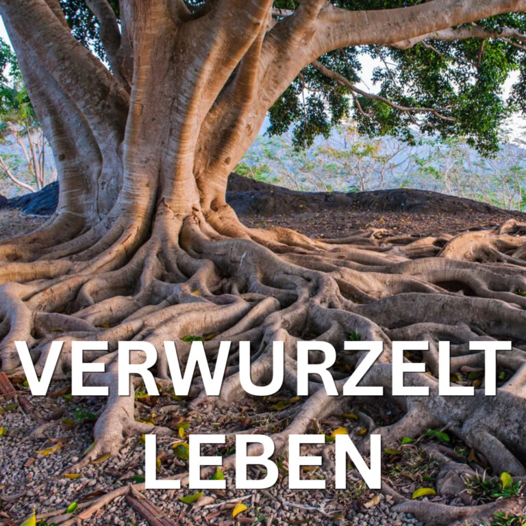 In Jesus verwurzelt sein
